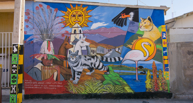 Mural del gato andino y su ambiente se ubica en el frontis de la escuela básica de Enquelga, localidad ubicada al interior del Parque Nacional Volcán Isluga.