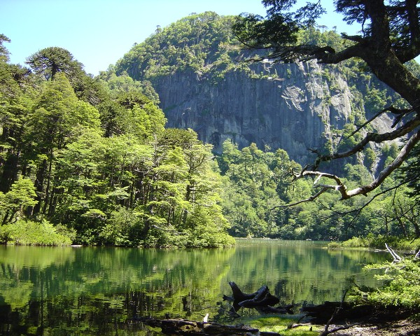 Parque Nacional Huerquehue.