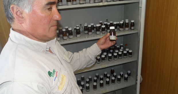 El nuevo centro de investigación científica “Carl Johan Fredrik Skottsberg” contiene actualmente 51 especies arbóreas, arbustivas, herbáceas y helechos.