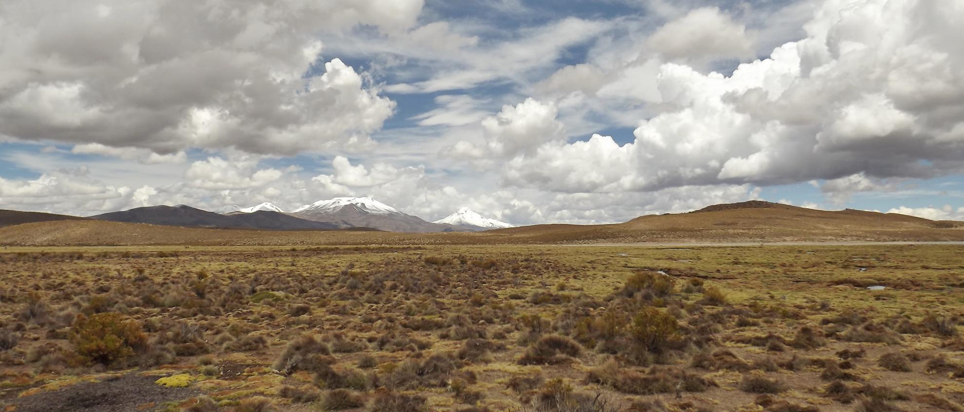 Región de Tarapacá Sistema Nacional de Áreas Silvestres del Estado