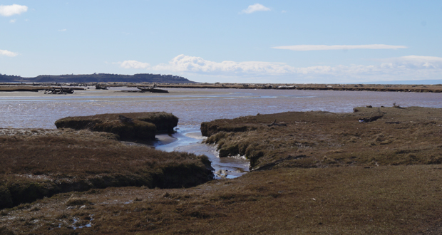 El objetivo del Monumento Natural es dar protección al hábitat y área de mayor concentración de parejas reproductivas de la especie en ambientes húmedos de la Patagonia Chilena.