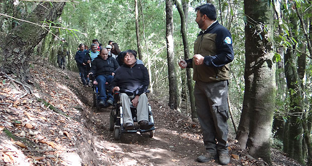 La caminata por el único sendero inclusivo natural de la región de La Araucanía, que se ubica en el costado del estacionamiento del casino, la hicieron personas en situación de discapacidad física y visual.