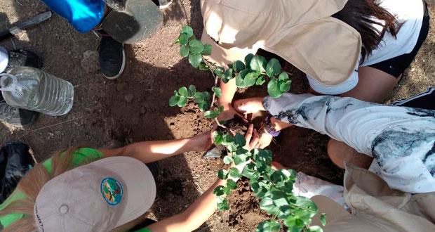 Los alumnos, de entre 15 y 17 años, realizaron este trabajo voluntario en el área de restauración ecológica denominada “Bifurcación La Buitrera”.