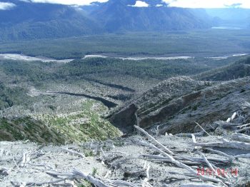 Influencia de micrositios y legados biológicos y físicos sobre el establecimiento de plantas de regeneración arbórea después de la erupción del volcán Chaitén (Parque Nacional Pumalín Douglas Tompkins)