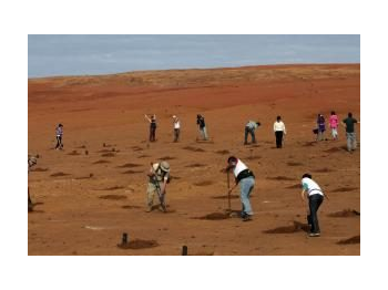 La restauración ecológica en el Parque Nacional Rapa Nui: rehabilitación participativa de suelos degradados