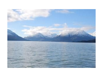 Biodiversidad marina y necesidad de conservación en la Reserva Nacional Katalalixar y el sistema de áreas marinas protegidas en la comuna de Tortel (Patagonia chilena)