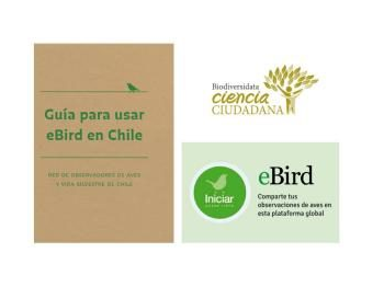 Uso de eBird en las áreas silvestres protegidas por el Estado: una oportunidad para la conservación