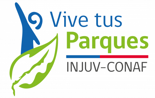 LOGO VTP