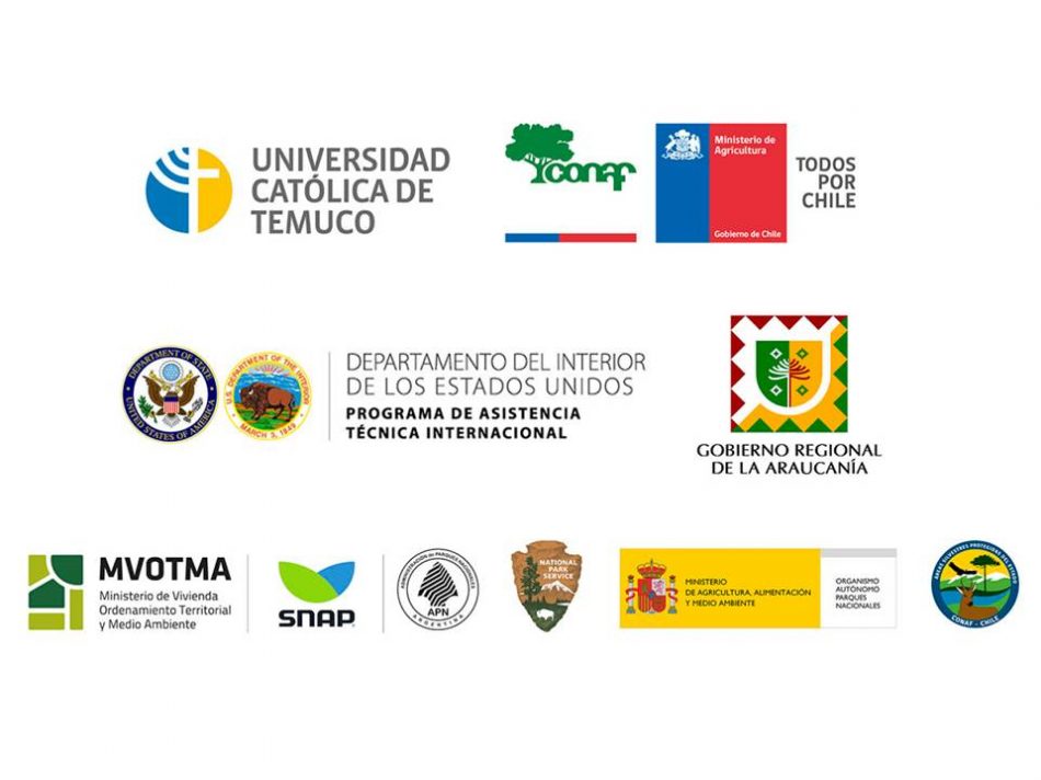 logos_Estructura organizacional