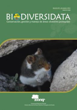 portada_BDD2