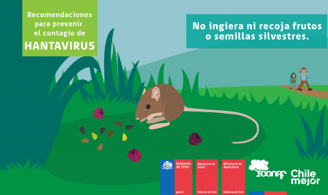 Campaña-Hantavirus-F-05