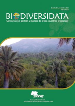 portada_BDD7