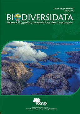 portada_BDD8