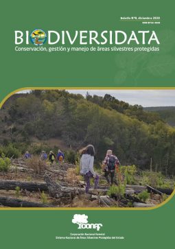 PORTADA 09