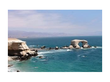 Aumento en la diversidad y abundancia de avifauna en el Monumento Natural La Portada, como consecuencia de la implementación de medidas de manejo en la unidad