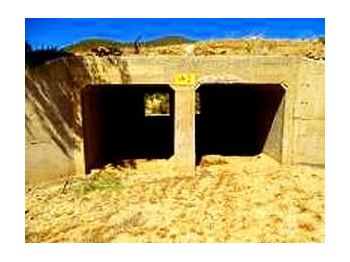 Atropellos de fauna en la ruta D-705, sector: Illapel-Aucó-Los Pozos (Coquimbo, Chile), incluyendo la Reserva Nacional Las Chinchillas