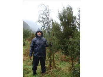 La experiencia de restauración de bosques en el Parque Nacional Pumalín Douglas Tompkins, provincia de Palena, Región de Los Lagos