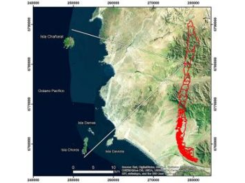Síntesis de los registros de aves de la Reserva Nacional Pingüino de Humboldt
