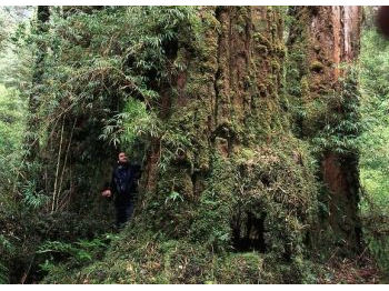 Ruta de los Parques Nacionales de la Patagonia: conservación de la última naturaleza al sur del mundo