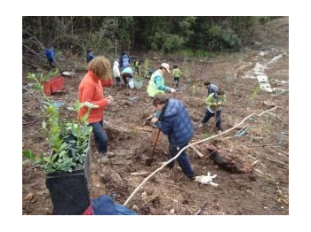 La educación ambiental: una herramienta clave para la generación de cambios