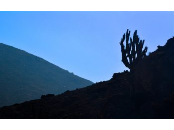 Plan de mejoramiento infraestructura e integración escolar Reserva Nacional La Chimba: promoviendo su recuperación mediante trabajo colaborativo