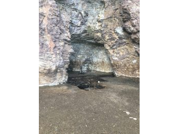 Cazadores recolectores y vías de circulación al este del Campo de Hielo Norte